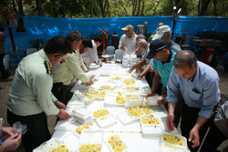 مشہد، عید غدیر کے دن ابتدائی طور پر 11 ہزار لوگوں کو مفت کھانا کھلایا گیا