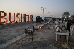 استان بوشهر آماده برگزاری باشکوه جشن غدیر؛ عطر علوی در دیار خلیج فارس