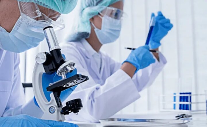 ساخت اندامهای مصنوعی کوچک برای تست دارو از زهر عنکبوت