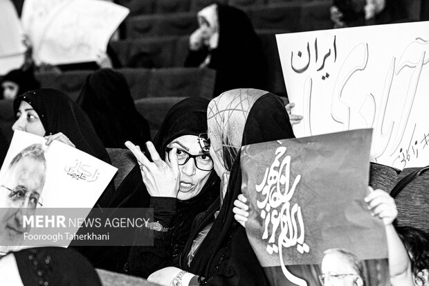 حامیان انتخابات