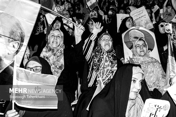 حامیان انتخابات