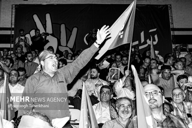 حامیان انتخابات