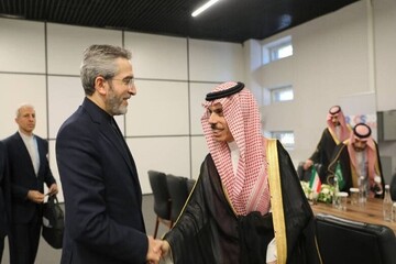 Bakıri, Suudi Arabistan Dışişleri Bakanı ile görüştü