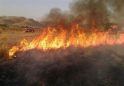 تلاش برای مهار آتش سوزی در ارتفاعات هلیلان