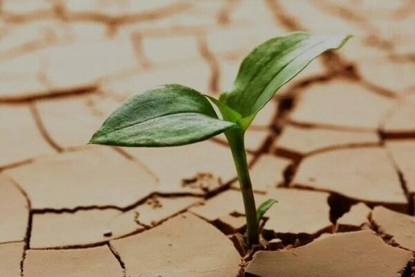 سدهای دست خالی!