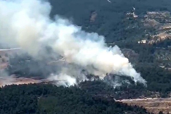 Manisa'da orman yangını çıktı Manisa'da orman yangını çıktı