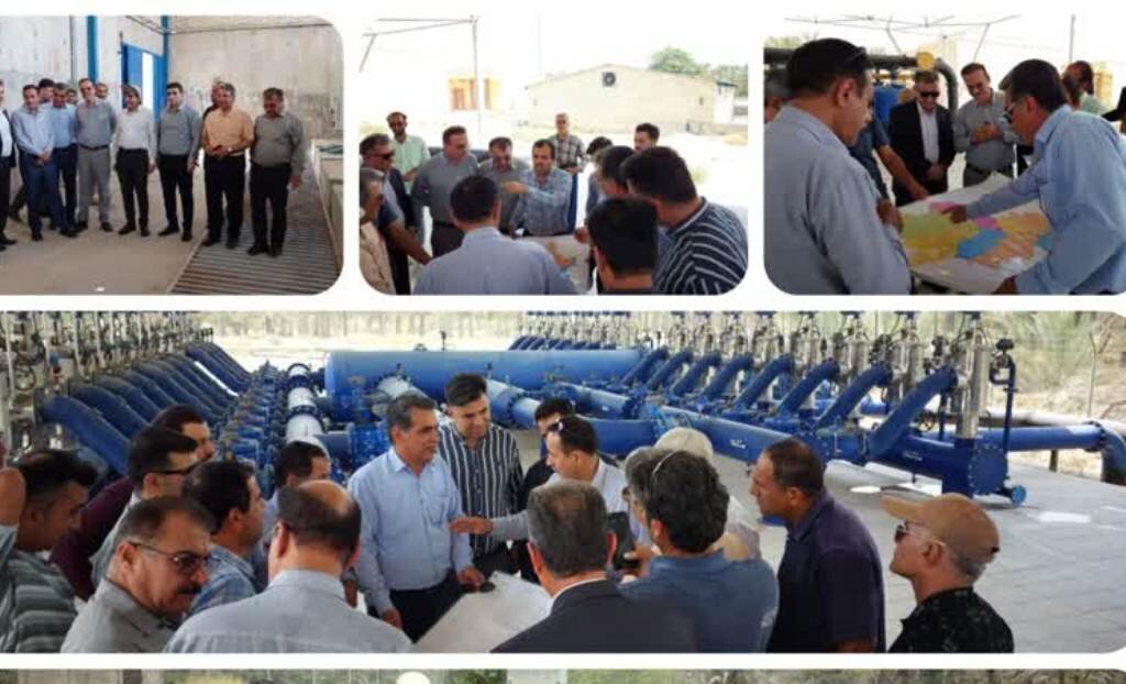 معاون وزیر جهاد کشاورزی از ۲ طرح کشاورزی دشتستان بازدید کرد
