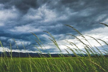 وزش باد در اردبیل از یکشنبه آغاز می‌شود