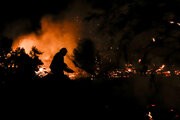 آتش سوزی گسترده در جنگل های شهرستان هلیلان