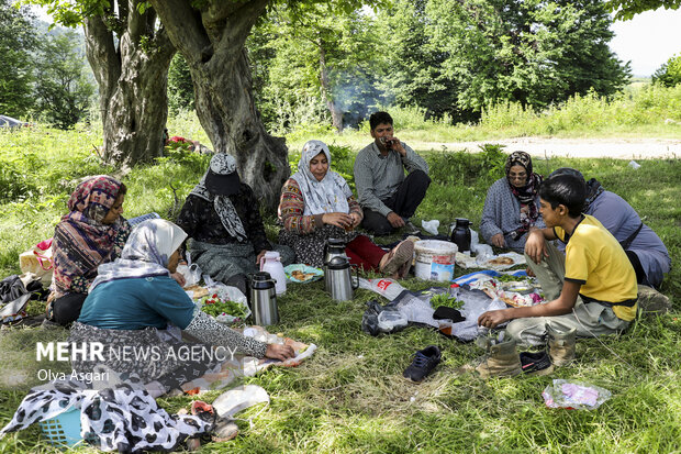 رامیان؛ قطب توت فرنگی گلستان