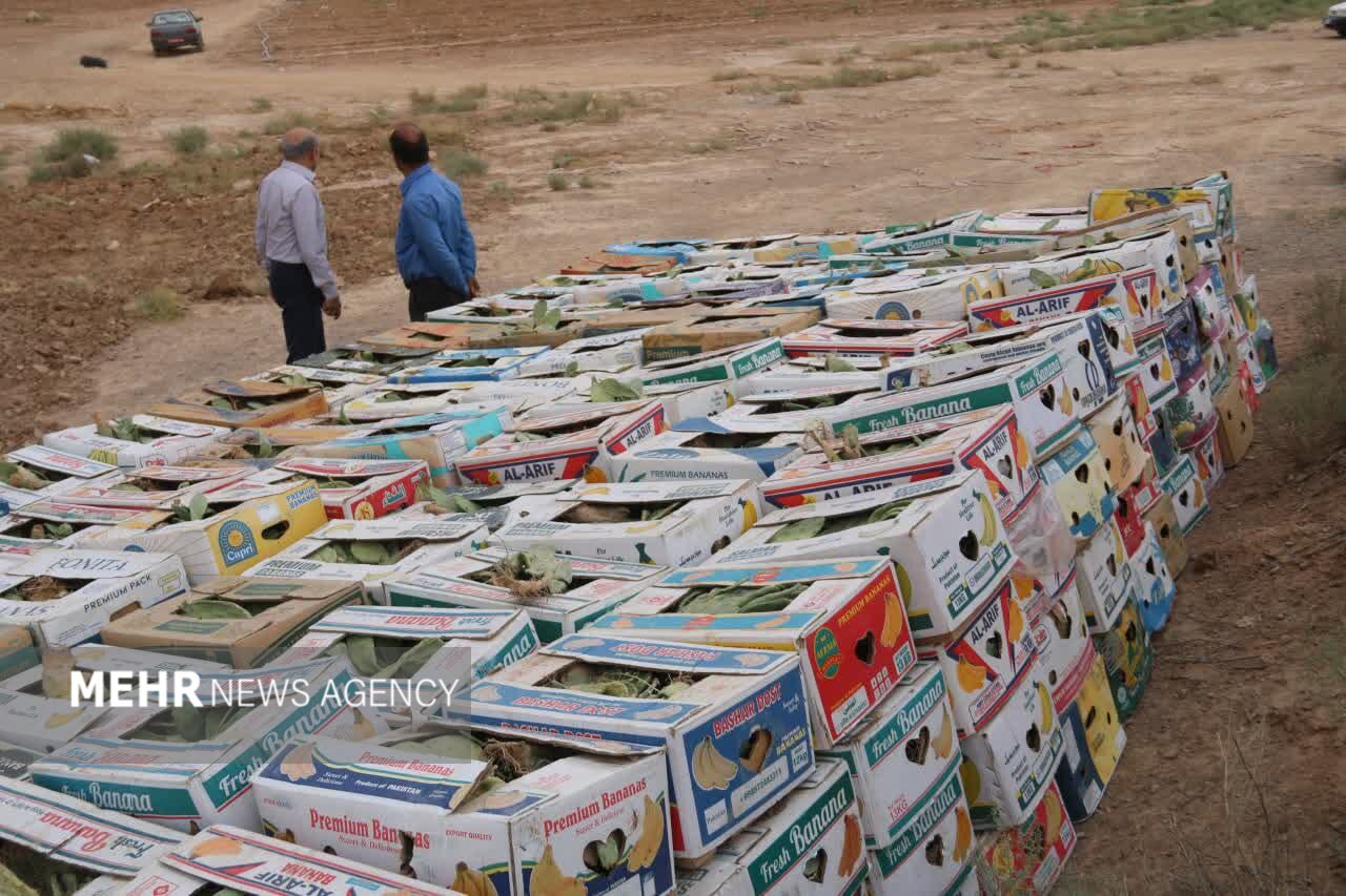 ۱۰۰ هکتار از اراضی موقوفه اصفهان باغ کاکتوس میشود