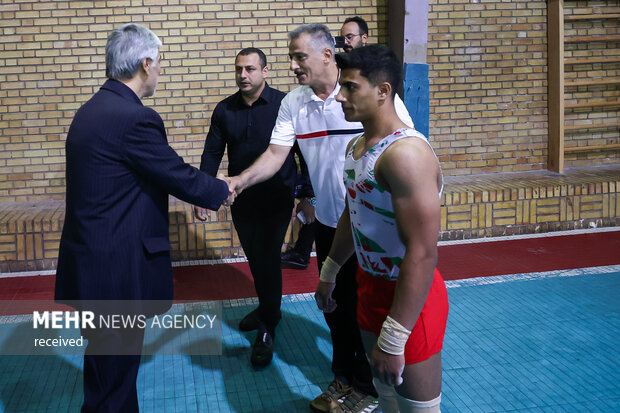 بازدید وزیر ورزش و جوانان از اردوی تنها ژیمناست ایرانی المپیک