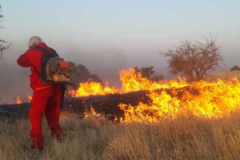 تلاش برای مهار و خاموش کردن آتش سوزی جنگل های بدره