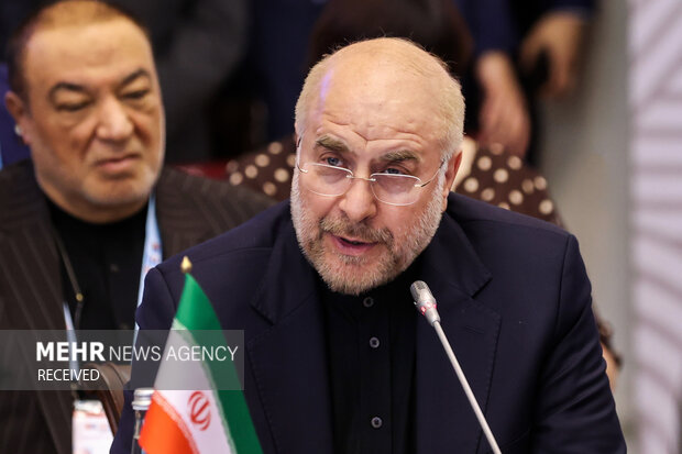 مجمع پارلمانی کشورهای عضو بریکس در سنپترزبورگ روسیه 21