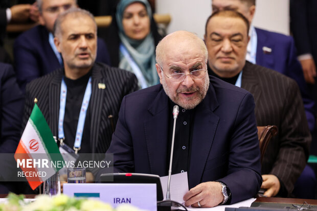 مجمع پارلمانی کشورهای عضو بریکس در سنپترزبورگ روسیه 22
