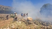 مردم گیلانغرب در حال مهار کردن آتش ارتفاعات کچل