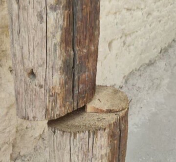 بریده شدن پایه‌های برق چوبی در منطقه فین کاشان