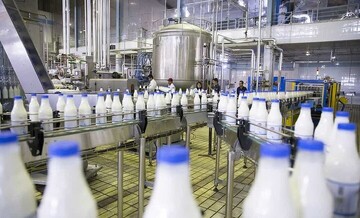 Iran’s Mazandaran exports over 42k tons of dairies in H1