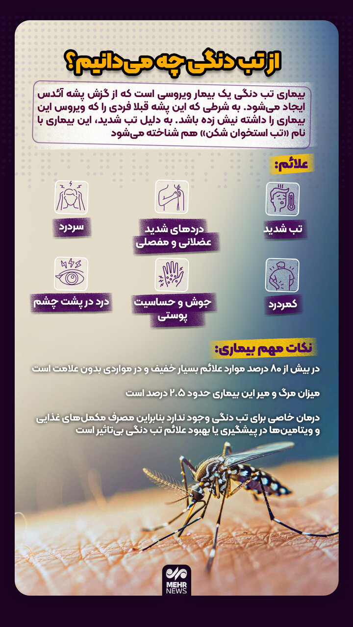 از تب دنگی چه میدانیم؟