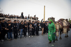 Qamar-e Bani Hashem lovers caravan in Khomeyni Shahr