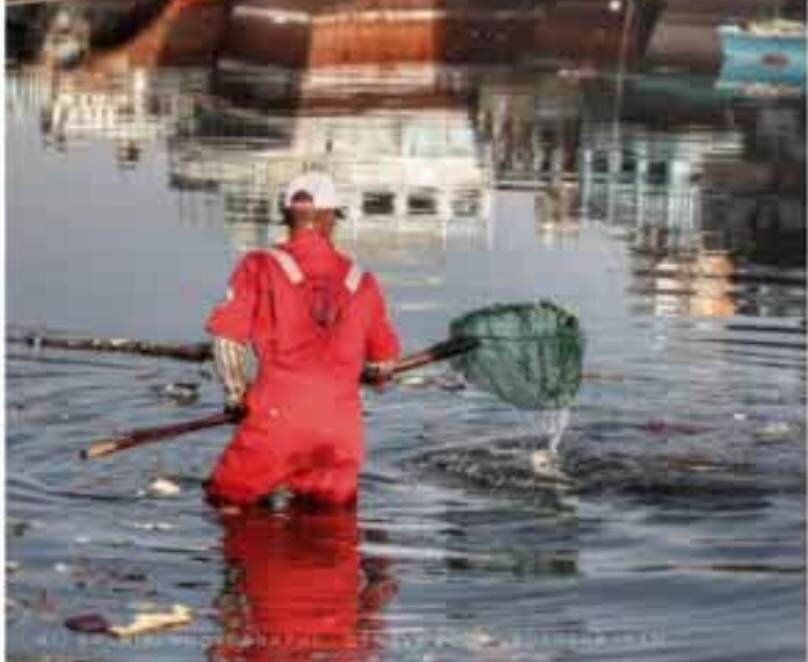 طرح پاکسازی ساحل بندر گناوه از آلایندهها اجرا شد