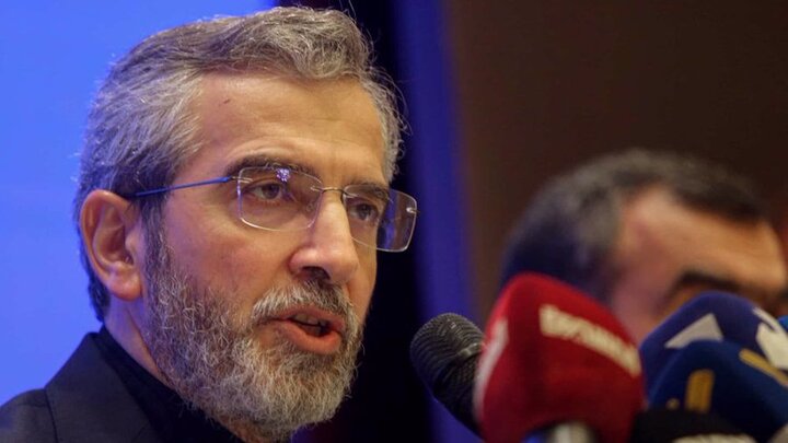 Cultural diplomacy integral part of Iran Foreign Ministry