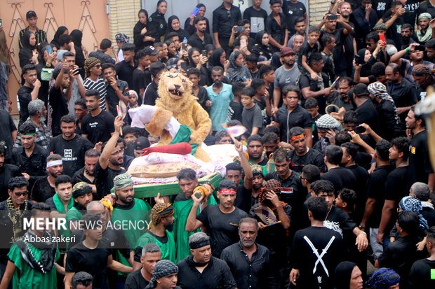 «شیر و کتل» رسم ۴۰۰ ساله مینابیها در روز عاشورا