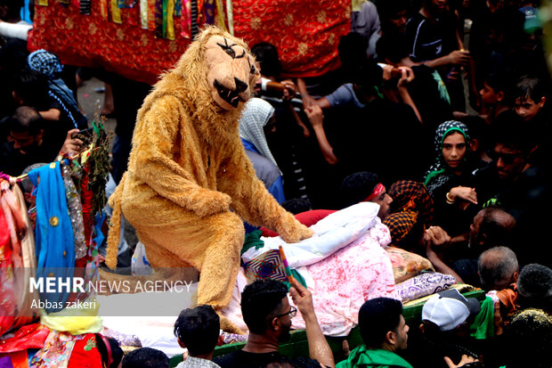 «شیر و کتل» رسم ۴۰۰ ساله مینابیها در روز عاشورا
