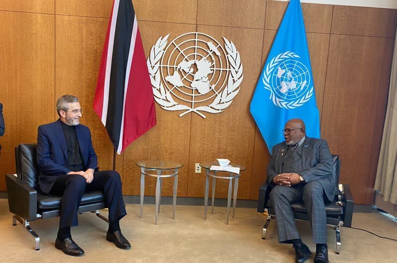 باقري كني يناقش مع رئيس الجمعية العامة للأمم المتحدة اخر تطورات القضايا الاقليمية والدولية
