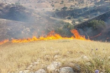 ماموران پلیس راه شهداد از گسترش شعله های آتش جلوگیری کردند