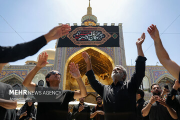 عزاداری مردم لامرد و مهر فارس در سالروز شهادت امام رضا (ع)