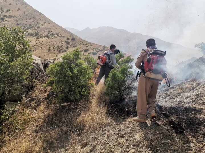 شەرارەی ئاگر کەوتووەتە گیانی لەوڕگەکانی کوردستان/کەمتەرخەمی مرۆڤەکان هۆکارە