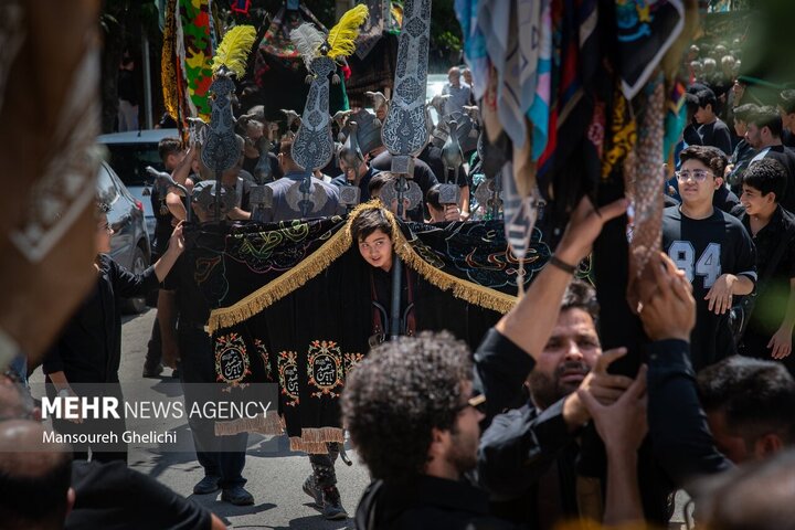 آئین «نخل گردانی» روز عاشورا در روستای قلعه‌نو خرقان