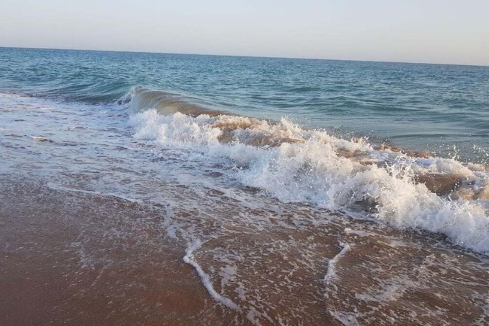 سواحل استان بوشهر متلاطم پیش بینی می‌شود