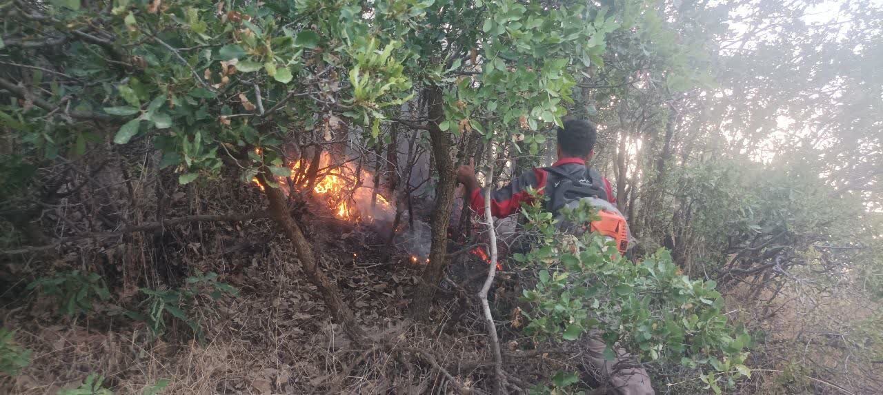 سوز آتش برجان مراتع کردستان/سهل انگاری انسان عاملی در نابودی جنگل