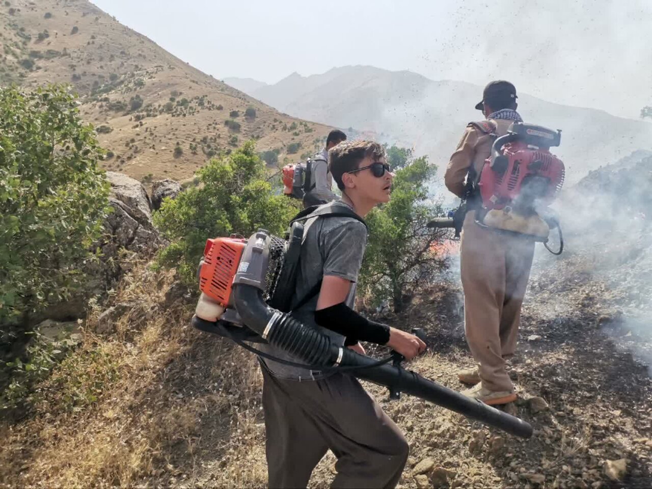 سوز آتش برجان مراتع کردستان/سهل انگاری انسان عاملی در نابودی جنگل