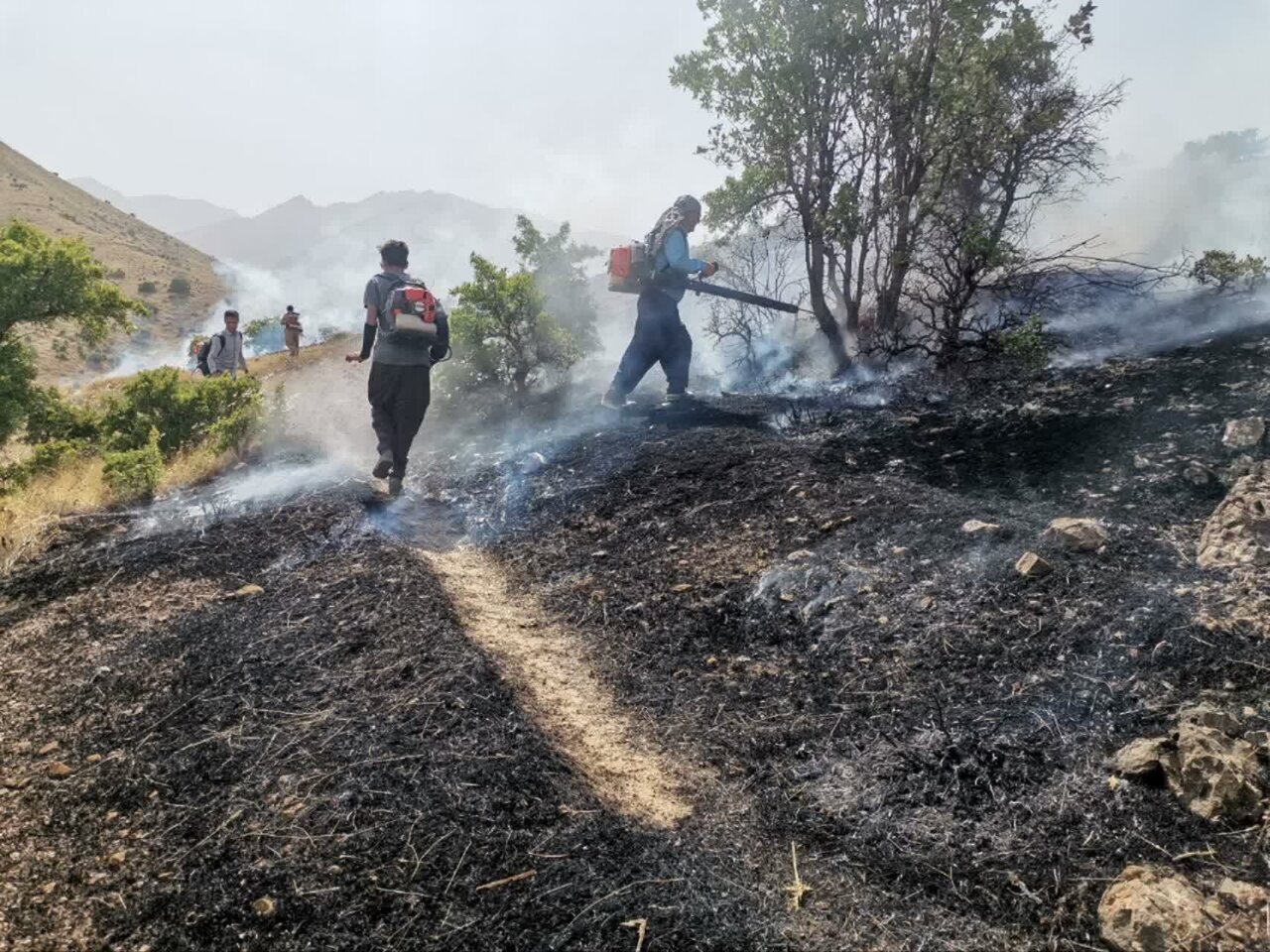 سوز آتش برجان مراتع کردستان/سهل انگاری انسان عاملی در نابودی جنگل