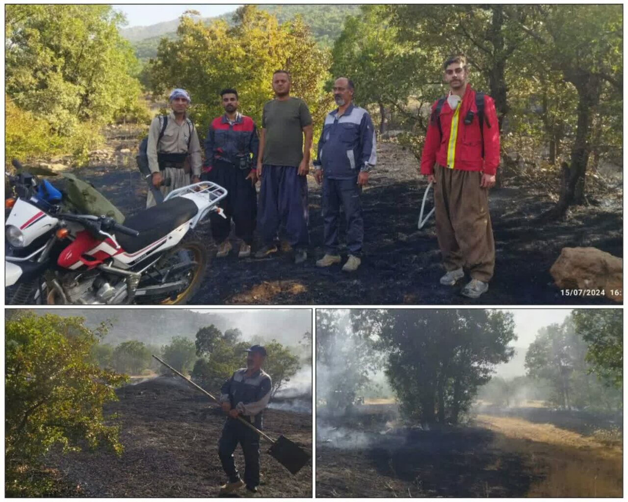 سوز آتش برجان مراتع کردستان/سهل انگاری انسان عاملی در نابودی جنگل