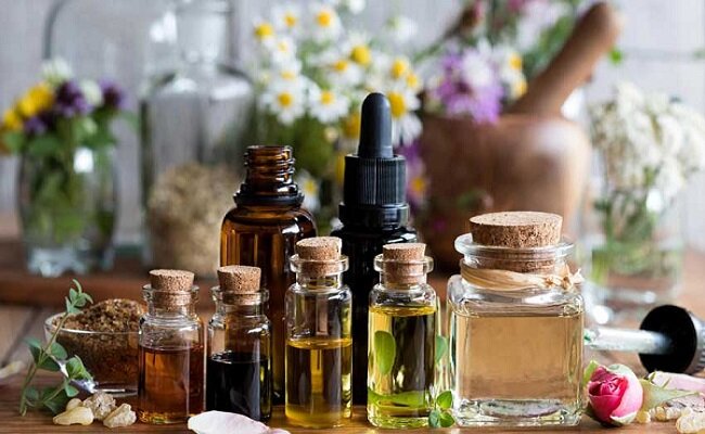 کاشت گیاه دارویی «کاپاریس» در خاتم آغاز شد کاشت گیاه دارویی «کاپاریس» در خاتم آغاز شد