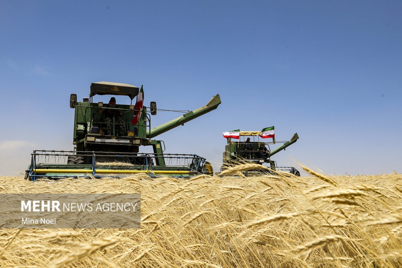 پیگیری دغدغه کشاورزان هشترودی؛روایتی از کم آبی و مشکلات تخصیص کود