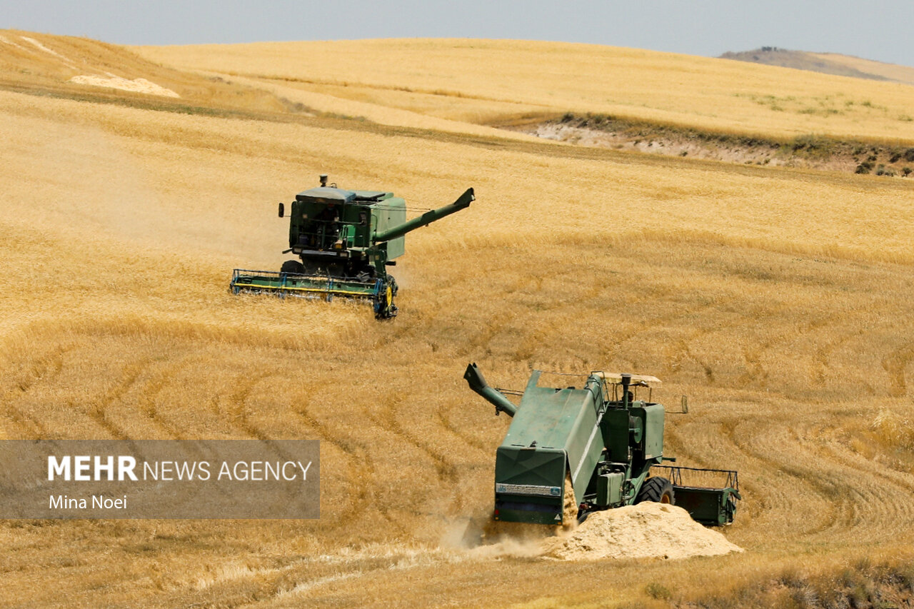 پیگیری دغدغه کشاورزان هشترودی؛روایتی از کم آبی و مشکلات تخصیص کود