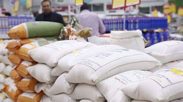 Iran to allocate subsidized currency to rice imports