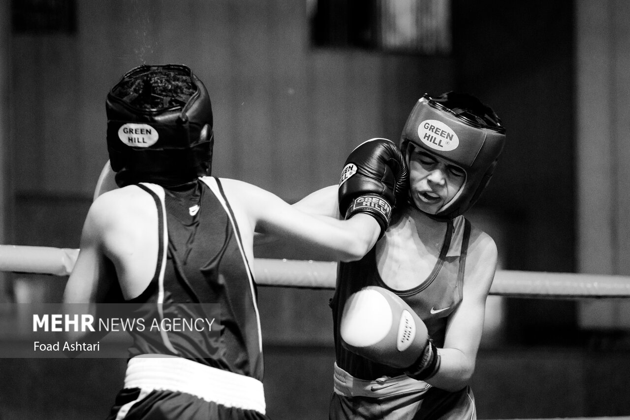 Iran Boxing Iran’s junior boxing competition held in Tehran - Mehr News Agency