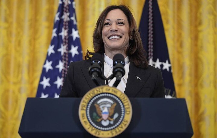 US VP Harris says will seek nomination as Democrat candidate