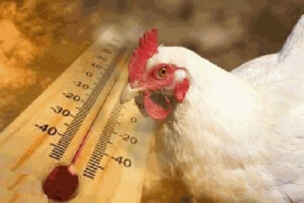 روند افزایش دمای هوای آذربایجان شرقی مجددا شروع شده است