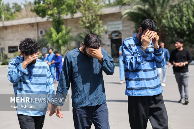 سارق با 17 فقره سرقت در تبریز دستگیر شد