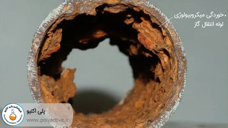 کاربرد بایوساید در صنعت نفت و گاز