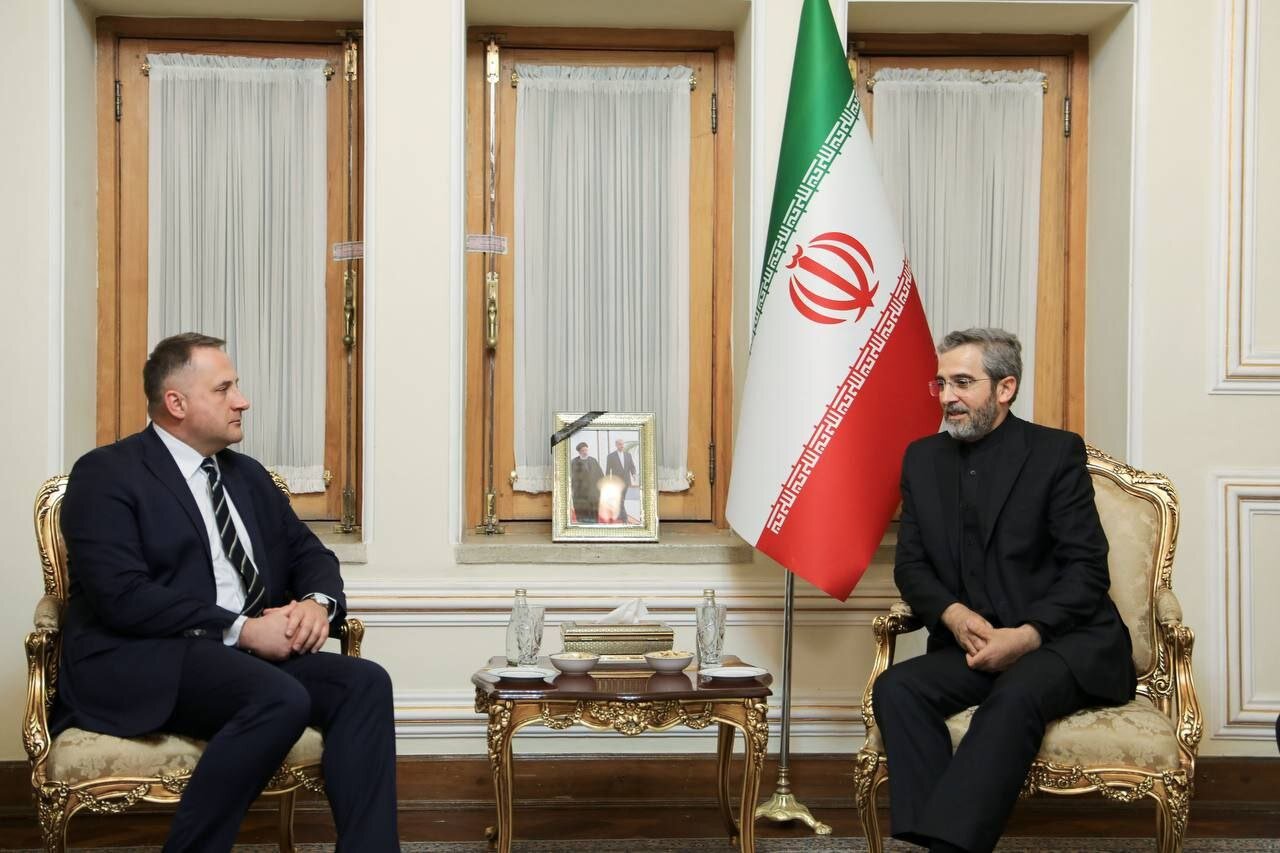 السفير البولندي في طهران يلتقي باقري