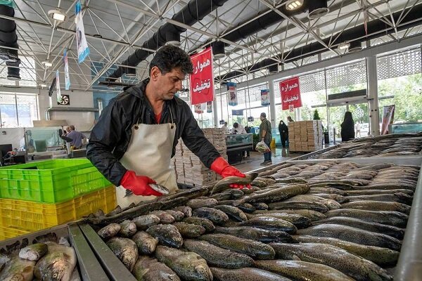 ۲۰۰ کیلو ماهی فاقد مجوز بهداشتی در طبس توقیف شد