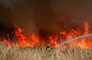 یک هکتار از مراتع فریدونشهر در آتش سوخت